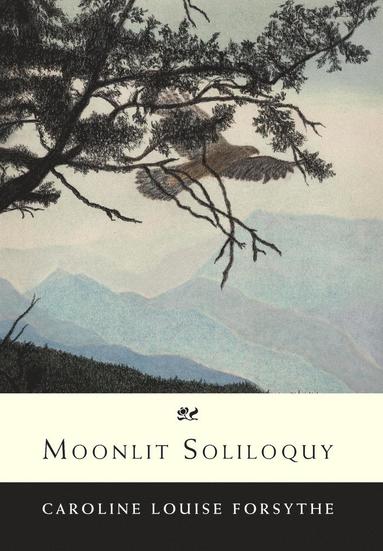 bokomslag Moonlit Soliloquy