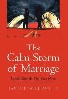 bokomslag The Calm Storm of Marriage