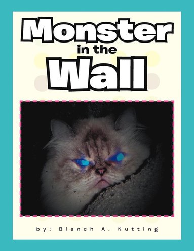 bokomslag Monster in the Wall