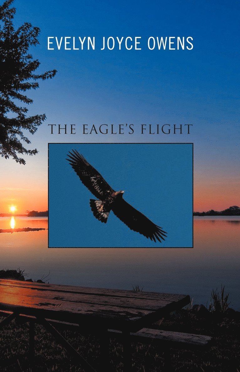 The Eagle's Flight 1