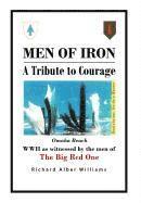 bokomslag Men of Iron