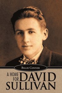 bokomslag A Home for David Sullivan