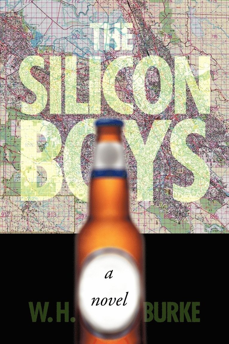 The Silicon Boys 1