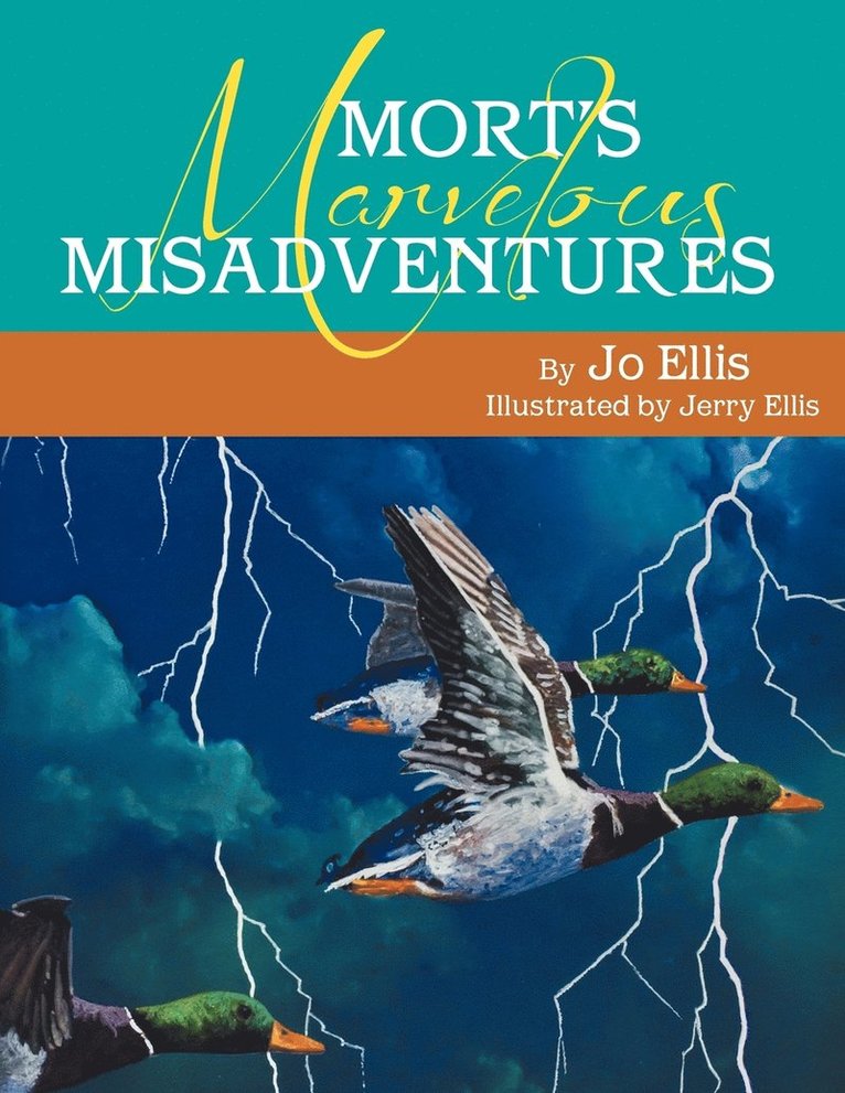 Mort's Marvelous Misadventures 1