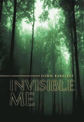 Invisible Me 1