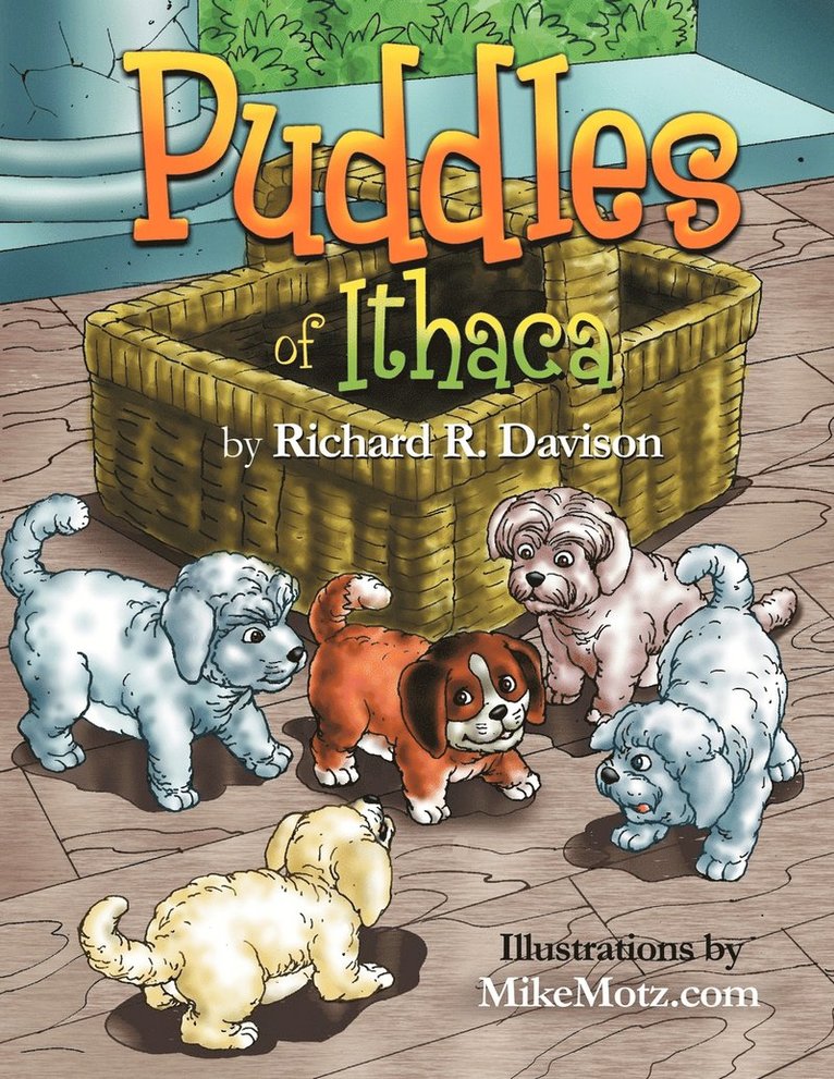 Puddles of Ithaca 1