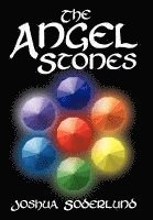 bokomslag The Angel Stones