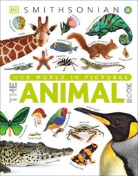 bokomslag The Animal Book: A Visual Encyclopedia of Life on Earth