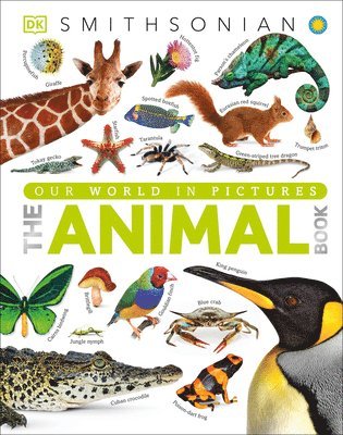 bokomslag The Animal Book: A Visual Encyclopedia of Life on Earth
