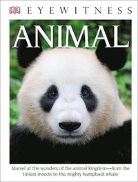 bokomslag DK Eyewitness Books: Animal