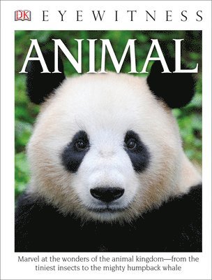 bokomslag DK Eyewitness Books: Animal