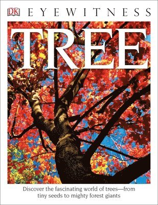 bokomslag DK Eyewitness Books: Tree