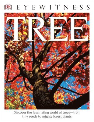 David Burnie - Eyewitness Tree: Discover the Fascinating World of Trees--From Tiny Seeds to Mighty Forest Giants, Häftad