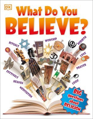 DK - What Do You Believe?, Häftad