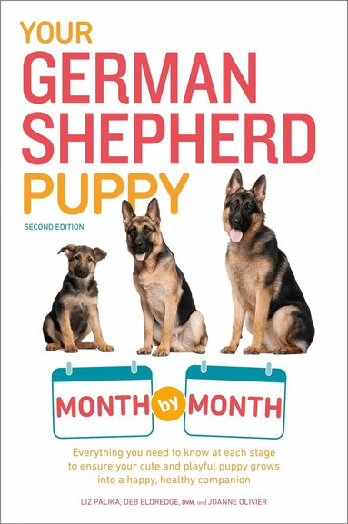 Liz Palika, Terry Albert, Debra Eldredge DVM, Joanne Olivier - Your German Shepherd Puppy Month by Month, 2nd Edition, Häftad