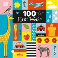 bokomslag 100 First Words