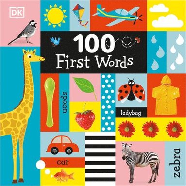 bokomslag 100 First Words