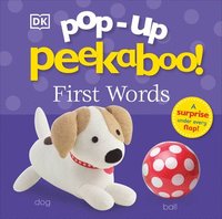 bokomslag Pop-Up Peekaboo! First Words