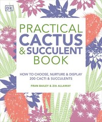 bokomslag Practical Cactus and Succulent Book: The Definitive Guide to Choosing, Displaying, and Caring for More Than 200 Cacti