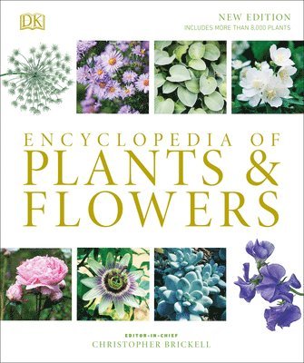 bokomslag Encyclopedia Of Plants And Flowers