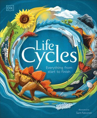 Life Cycles 1