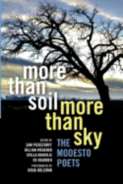 bokomslag More Than Soil, More Than Sky: The Modesto Poets