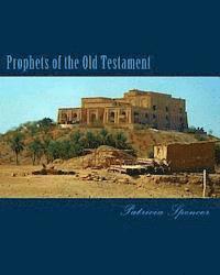 bokomslag Prophets of the Old Testament