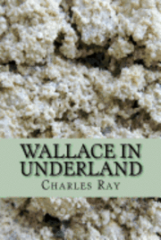 bokomslag Wallace in Underland: An urban fantasy - with illustrations by the author