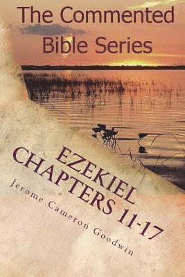 Jerome Cameron Goodwin - Ezekiel Chapters 11-17: Son Of Man, Prophesy To the Wind, Häftad