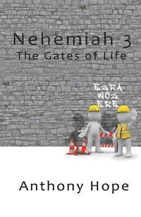 bokomslag Nehemiah 3: The Gates of Life