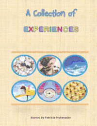 A Collection of Experiences: Stories by Patricia Frohmader 1