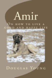 bokomslag Amir