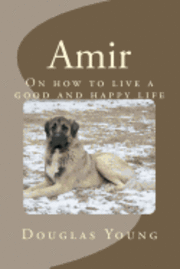 Amir 1