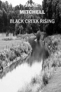 bokomslag Black Creek Rising
