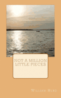 Not a million little pieces 1