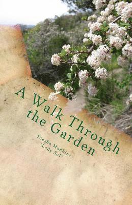 Sol Madkins - A Walk Through the Garden, Häftad