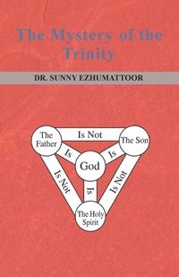 bokomslag Mystery of the Trinity