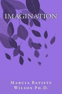 bokomslag Imagination