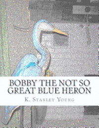 Bobby the Not So Great Blue Heron 1