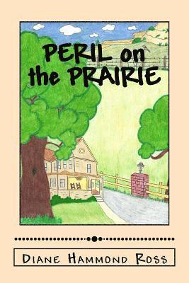 bokomslag Peril on the Prairie: A Young Boy Defends His Honor