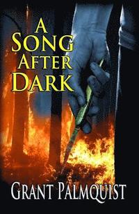 bokomslag A Song After Dark