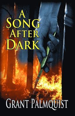 bokomslag Song After Dark