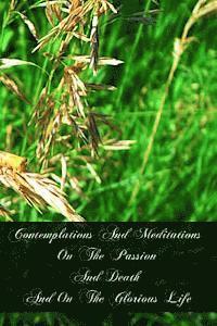 bokomslag Contemplations And Meditations On The Passion And Death And On The Glorious Life: Of Our Lord Jesus Christ