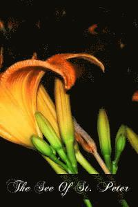 Thomas William Allies - The See Of St. Peter, Häftad