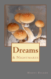 bokomslag Dreams & Nightmares