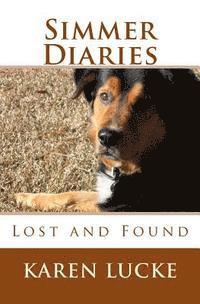 bokomslag Simmer Diaries: Lost and Found