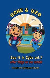 bokomslag Uche and Uzo Say it in Igbo vol.7: Vol.7 Other things we see outside