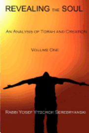 bokomslag Revealing the Soul - Volume One: An Analysis of Torah and Creation