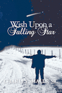 bokomslag Wish Upon a Falling Star