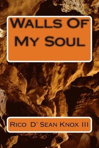bokomslag Walls Of My Soul